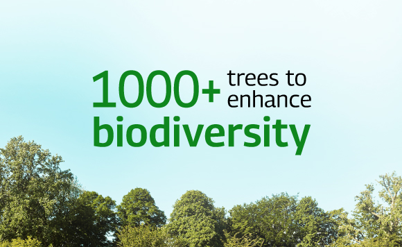 Biodiversity